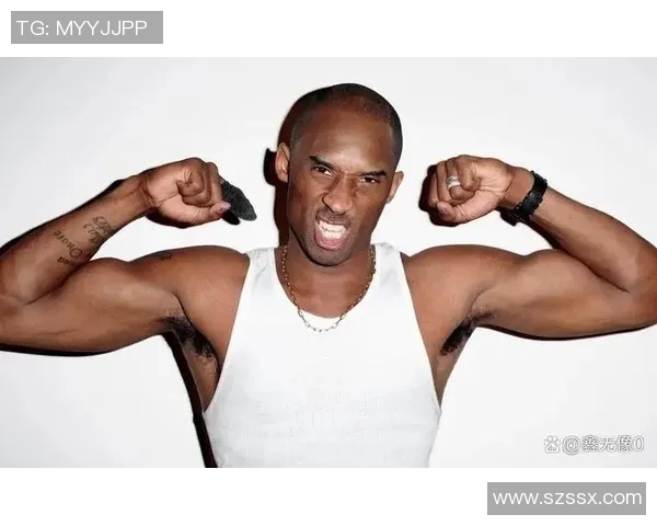 篮球明星台前的光辉岁月与背后的奋斗故事