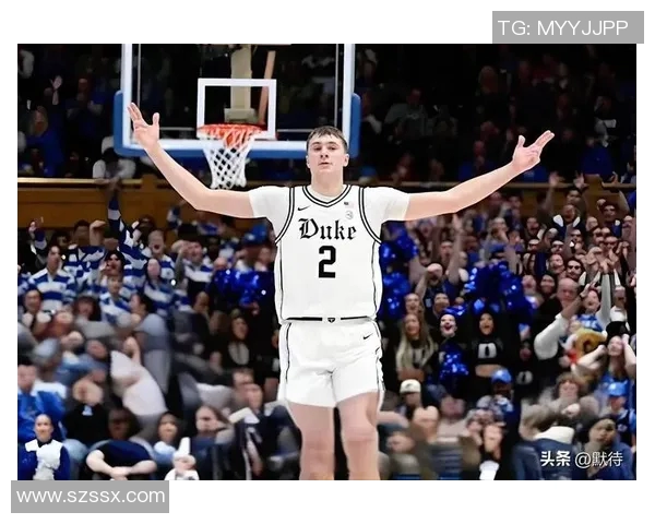 外国篮球明星30号的传奇故事与场上风采解析